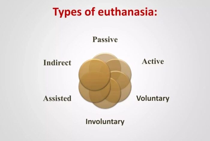 5 jenis euthanasia untuk mengakhiri hidup seseorang