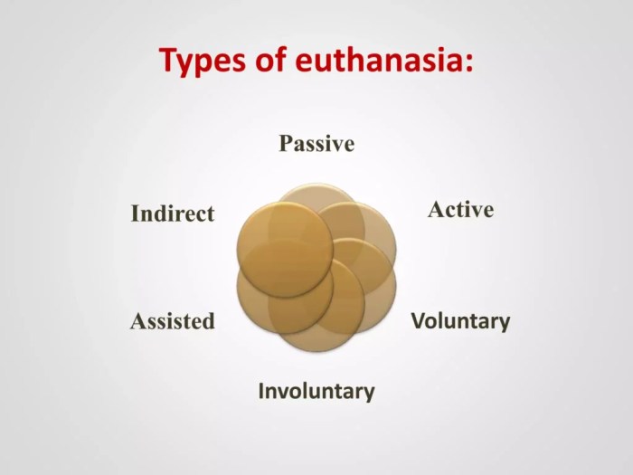 5 jenis euthanasia untuk mengakhiri hidup seseorang