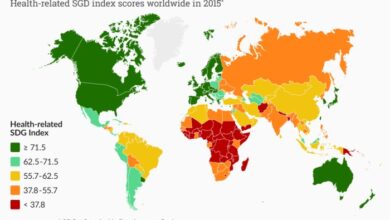 5 negara pemilik menu paling sehat di dunia