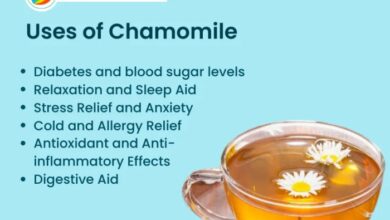 5 manfaat teh chamomile untuk kesehatan kulit