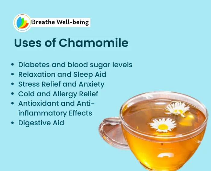 5 manfaat teh chamomile untuk kesehatan kulit