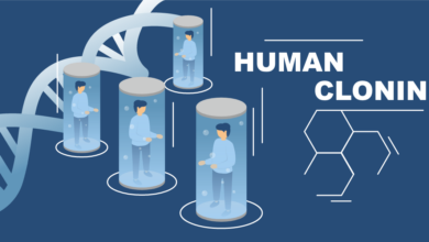 5 mitos mengenai kloning manusia ini jangan dipercaya
