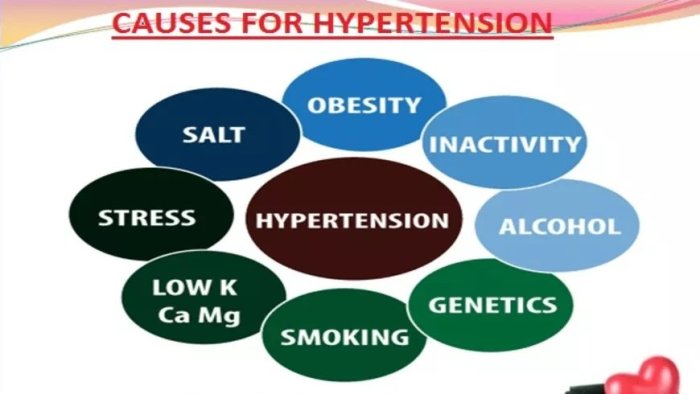 5 faktor risiko seseorang bisa terkena hipertensi pulmonal