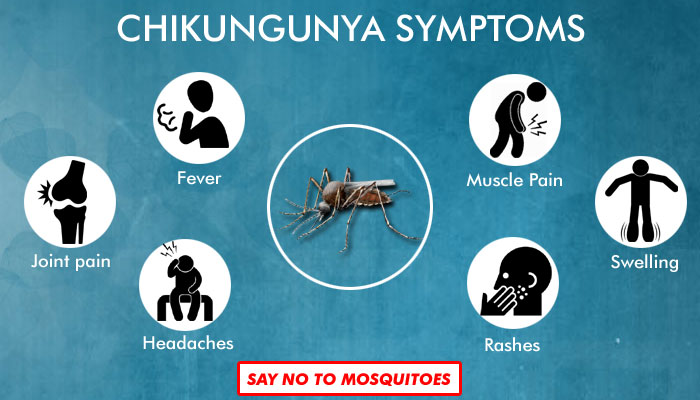 3 alasan mengapa chikungunya berbahaya