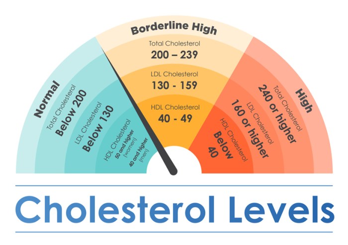 Hdl cholesterol ldl bad fats causes sticky based 5 pola hidup sehat agar kolesterol tubuh selalu normal