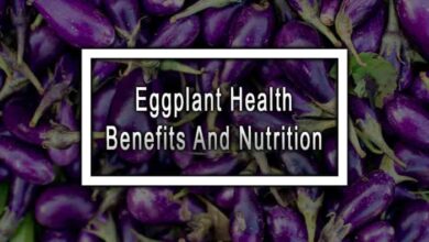 5 manfaat terong ungu yang baik bagi kesehatan