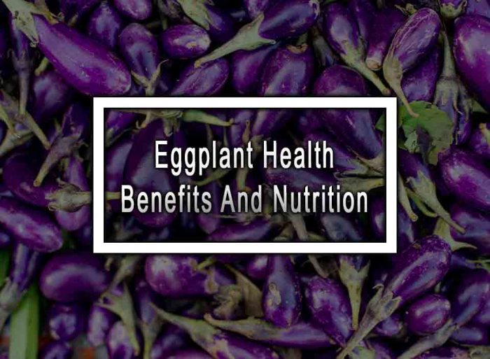 Eggplant benefits health medindia information 5 manfaat terong ungu yang baik bagi kesehatan