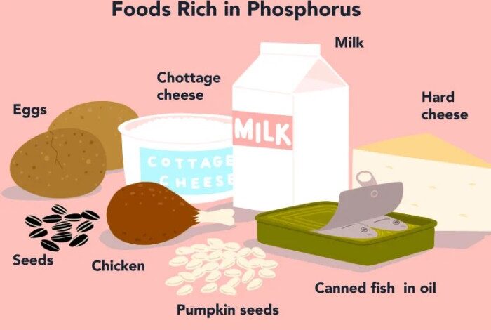 5 makanan yang mengandung fosfor tinggi baik bagi kesehatan