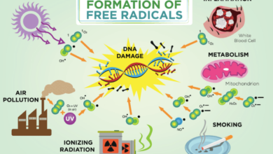 5 radikal bebas yang dapat merusak daya tahan tubuh