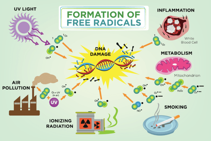 5 radikal bebas yang dapat merusak daya tahan tubuh