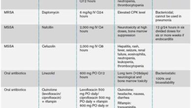 5 pengobatan untuk menangani bakteremia