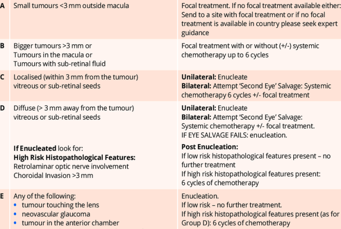 2 faktor dan cara menangani retinoblastoma