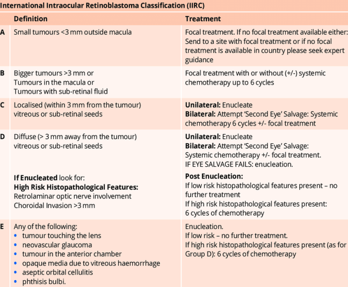 2 faktor dan cara menangani retinoblastoma