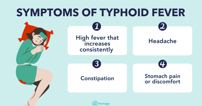 Typhoid symptoms fever netmeds