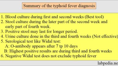 2 pemeriksaan laboratorium untuk mendiagnosis penyakit tifus