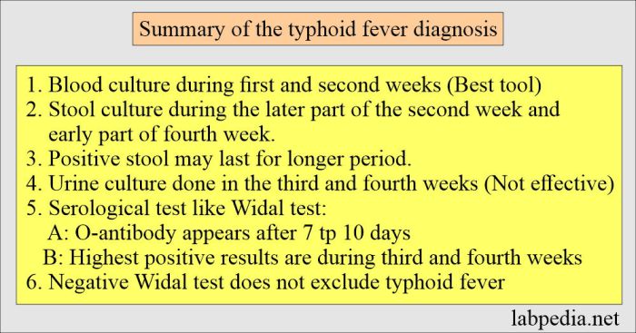 2 pemeriksaan laboratorium untuk mendiagnosis penyakit tifus