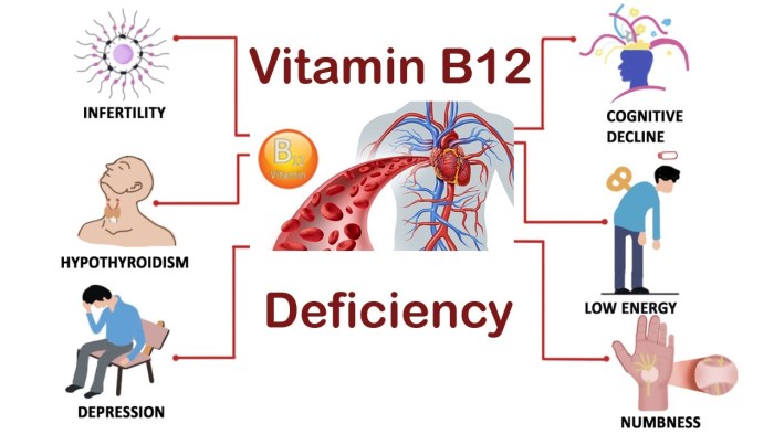 2 cara atasi masalah anemia defisiensi vitamin b12 dan folat