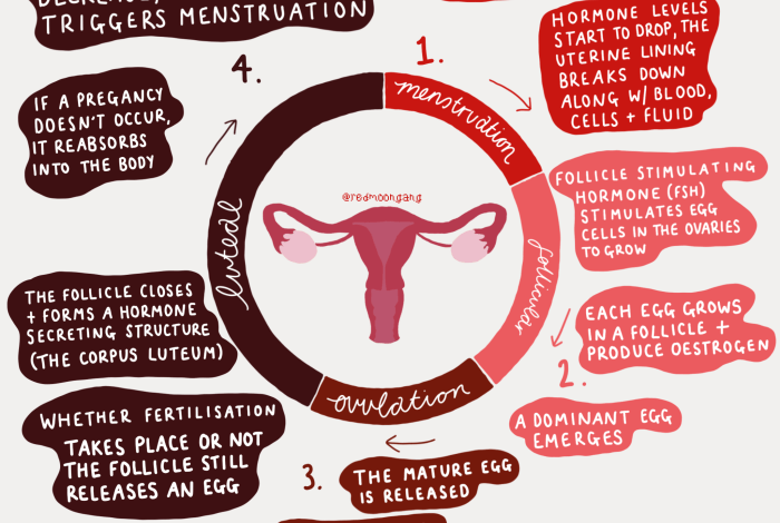 5 ciri menstruasi terakhir sebelum hamil