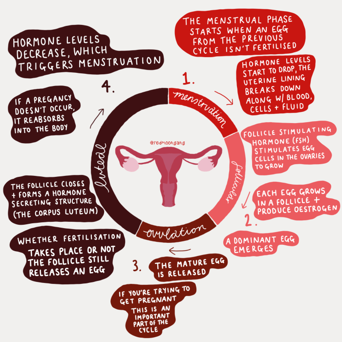 5 ciri menstruasi terakhir sebelum hamil