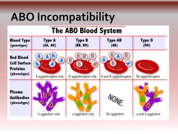 2 tes medis untuk diagnosis inkompatibilitas abo