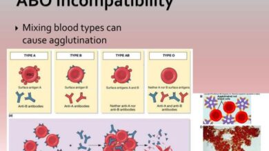 2 tes medis untuk diagnosis inkompatibilitas abo