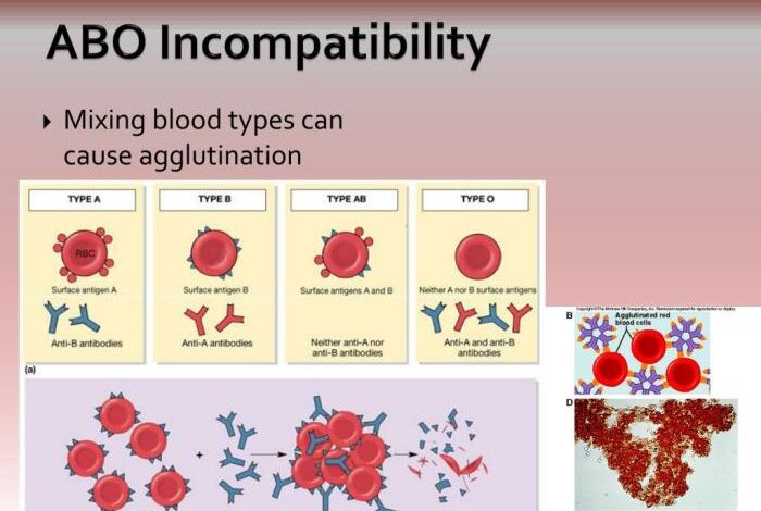 2 tes medis untuk diagnosis inkompatibilitas abo