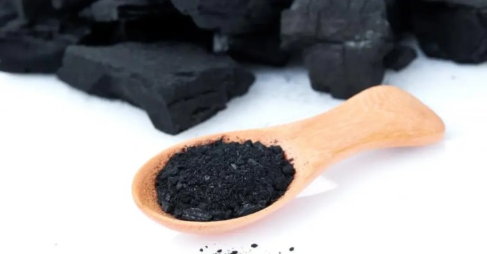 Activated thehomesteadsurvival intestine toxic trapped substances pass 5 masalah kesehatan yang bisa diatasi dengan arang aktif