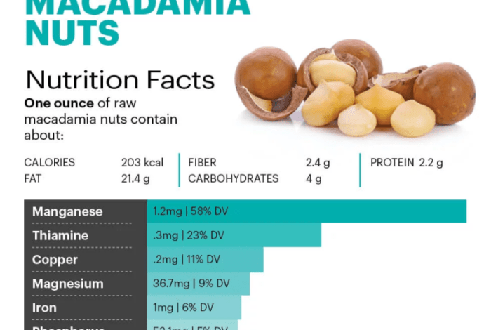 5 manfaat vitamin kacang macademia untuk tubuh