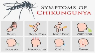 3 alasan mengapa chikungunya berbahaya