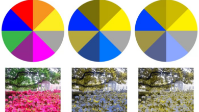 5 fakta menarik seputar buta warna yang jarang diketahui