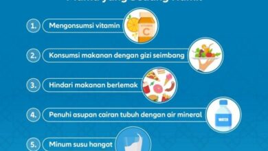 5 rekomendasi menu sahur yang sehat untuk ibu menyusui