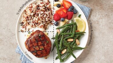 5 menu makan yang ideal bagi lansia dan porsinya