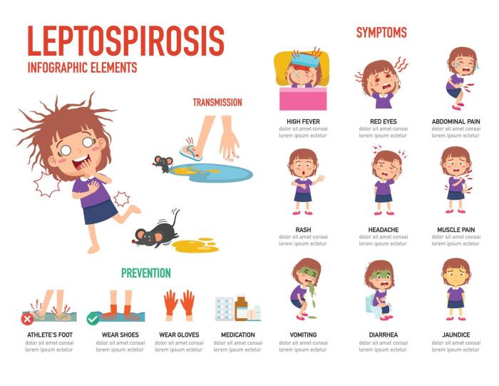 2 fase awal leptospirosis yang tidak boleh diabaikan