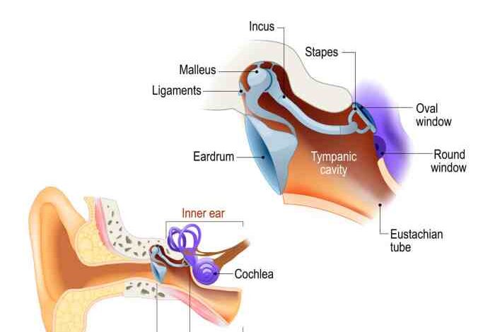 5 penyebab terjadinya perforasi membran timpani