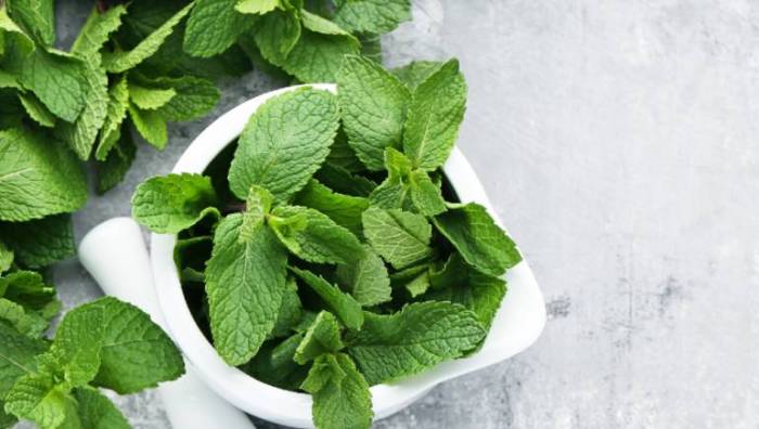 5 manfaat daun mint untuk dikonsumsi setiap hari