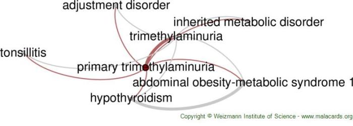 2 faktor risiko seseorang alami trimethylaminuria