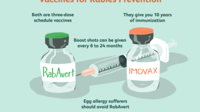 2 jenis vaksin rabies yang perlu diketahui