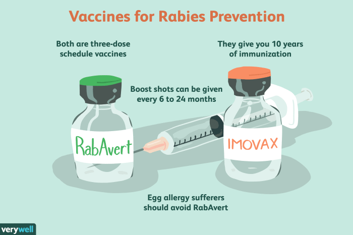 2 jenis vaksin rabies yang perlu diketahui