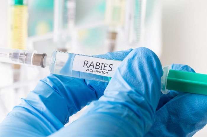 2 jenis vaksin rabies yang perlu diketahui