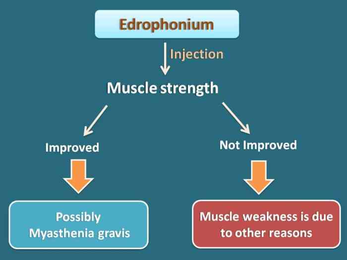 2 tes sederhana yang dapat dilakukan untuk deteksi myasthenia gravis