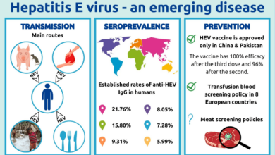 5 fakta penting tentang hepatitis e