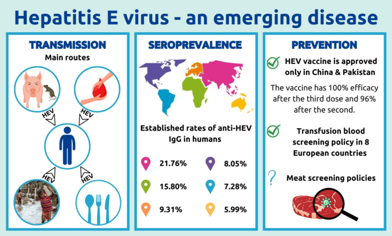 5 fakta penting tentang hepatitis e