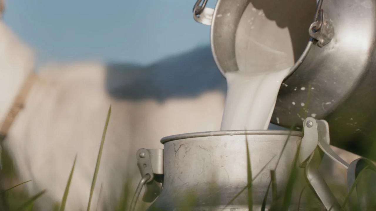 5 manfaat sabun susu kambing untuk kesehatan kulit