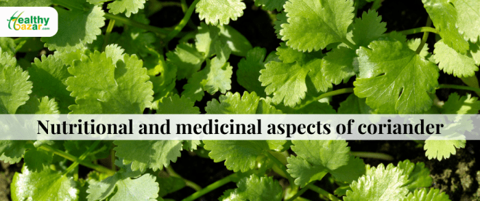 5 manfaat rutin konsumsi buah nanas untuk kolesterol