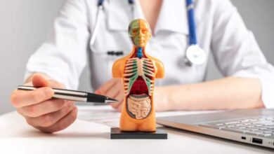 5 rekomendasi dokter spesialis penyakit dalam di medan