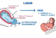 5 posisi persalinan kedua yang bisa kurangi rasa sakit