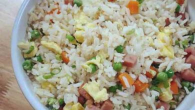 5 resep nasi goreng sederhana hingga spesial mudah dan praktis